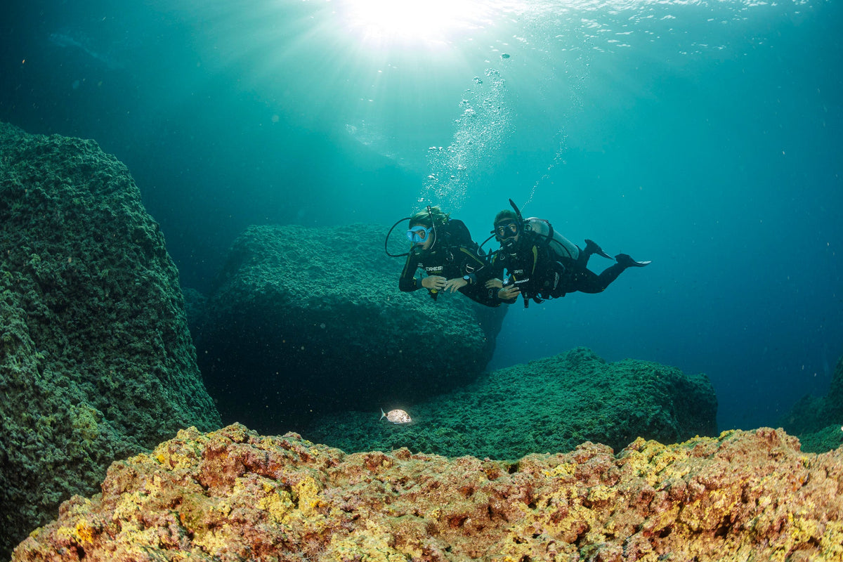 Dive Trips from Chania, Crete